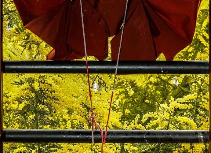 招待所 La Degli Artisti Medelana